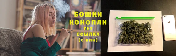 ECSTASY Вяземский