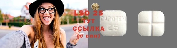гидра Вязники