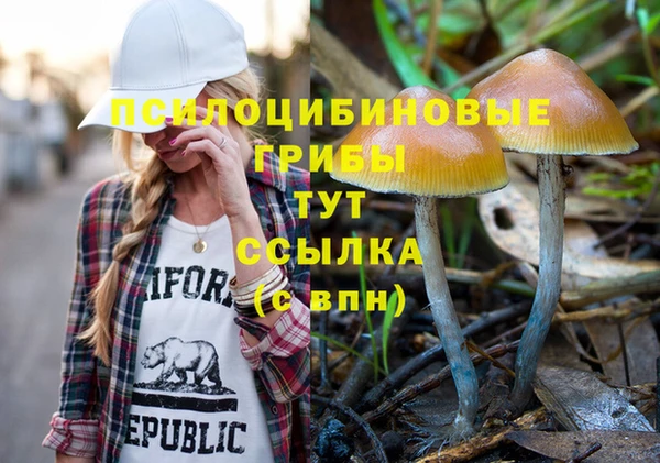 гидра Вязники