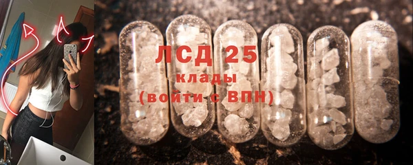 гидра Вязники