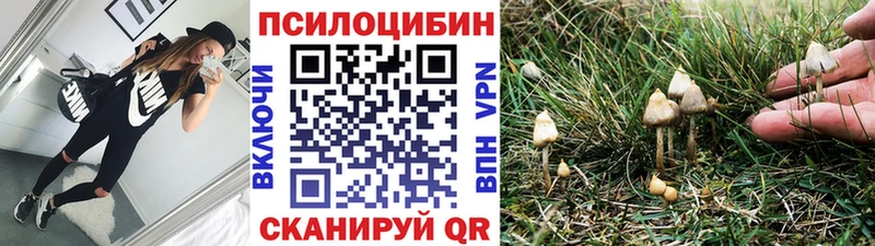 Псилоцибиновые грибы Magic Shrooms  Гдов 